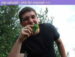 Posted image has been reduced in size. Size of original image (130896 KB) is 1024 x 768 pixels. Click image to view full size and better quality!