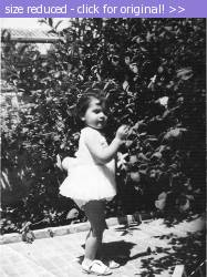 Posted image has been reduced in size. Size of original image (94571 KB) is 548 x 736 pixels. Click image to view full size and better quality!