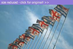 Posted image has been reduced in size. Size of original image (168392 KB) is 800 x 533 pixels. Click image to view full size and better quality!