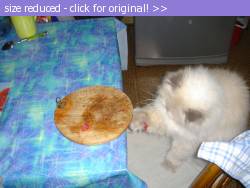 Posted image has been reduced in size. Size of original image (94593 KB) is 600 x 450 pixels. Click image to view full size and better quality!