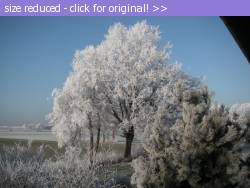 Posted image has been reduced in size. Size of original image (201183 KB) is 800 x 600 pixels. Click image to view full size and better quality!