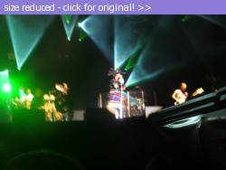 Posted image has been reduced in size. Size of original image (172958 KB) is 1136 x 852 pixels. Click image to view full size and better quality!