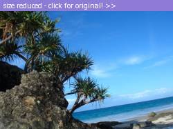 Posted image has been reduced in size. Size of original image (63431 KB) is 604 x 451 pixels. Click image to view full size and better quality!