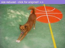 Posted image has been reduced in size. Size of original image (107645 KB) is 1280 x 960 pixels. Click image to view full size and better quality!