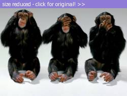 Posted image has been reduced in size. Size of original image (46348 KB) is 768 x 576 pixels. Click image to view full size and better quality!
