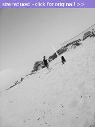 Posted image has been reduced in size. Size of original image (902969 KB) is 1200 x 1600 pixels. Click image to view full size and better quality!