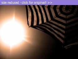 Posted image has been reduced in size. Size of original image (903412 KB) is 1600 x 1200 pixels. Click image to view full size and better quality!