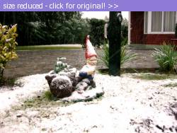 Posted image has been reduced in size. Size of original image (361588 KB) is 1024 x 766 pixels. Click image to view full size and better quality!