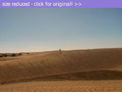 Posted image has been reduced in size. Size of original image (421474 KB) is 2592 x 1952 pixels. Click image to view full size and better quality!