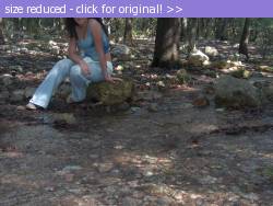 Posted image has been reduced in size. Size of original image (889788 KB) is 2608 x 1952 pixels. Click image to view full size and better quality!
