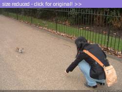 Posted image has been reduced in size. Size of original image (109726 KB) is 1024 x 768 pixels. Click image to view full size and better quality!