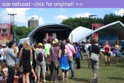 Posted image has been reduced in size. Size of original image (178756 KB) is 639 x 425 pixels. Click image to view full size and better quality!