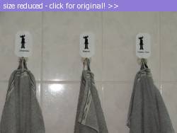 Posted image has been reduced in size. Size of original image (115771 KB) is 1024 x 768 pixels. Click image to view full size and better quality!