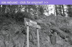 Posted image has been reduced in size. Size of original image (114057 KB) is 800 x 517 pixels. Click image to view full size and better quality!