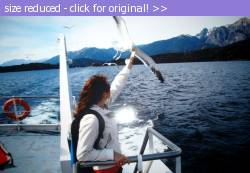 Posted image has been reduced in size. Size of original image (266131 KB) is 1024 x 707 pixels. Click image to view full size and better quality!