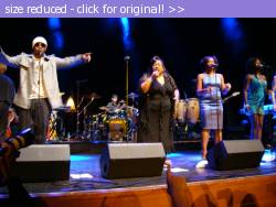 Posted image has been reduced in size. Size of original image (261520 KB) is 640 x 480 pixels. Click image to view full size and better quality!