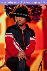 Posted image has been reduced in size. Size of original image (95797 KB) is 478 x 720 pixels. Click image to view full size and better quality!